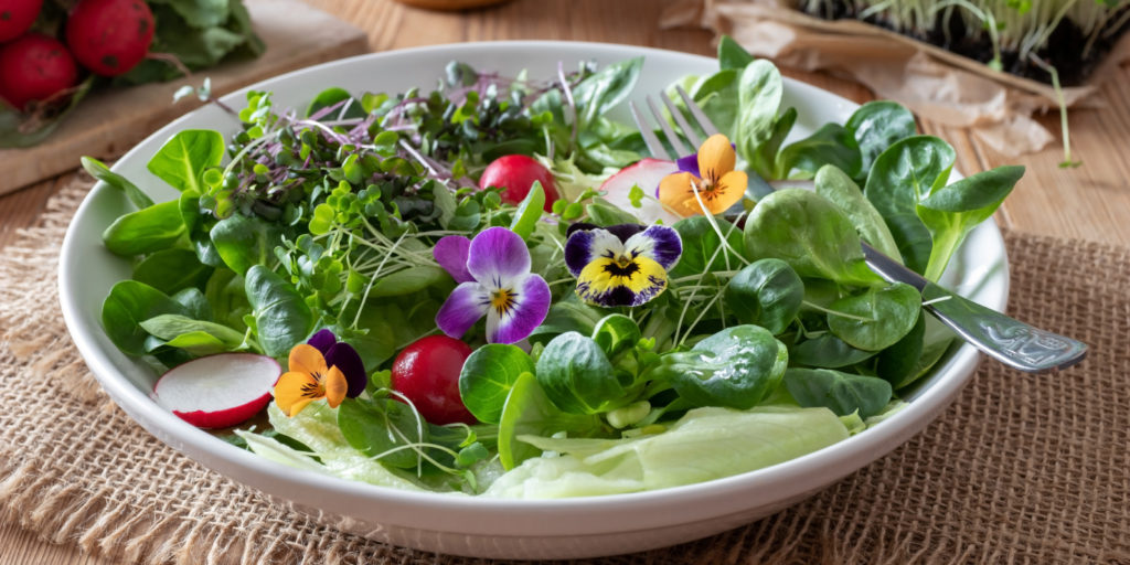 microgreens salad edible flowers photo