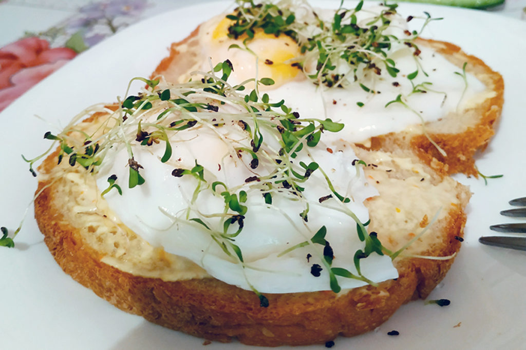 photo recipe poached egg with microgreens