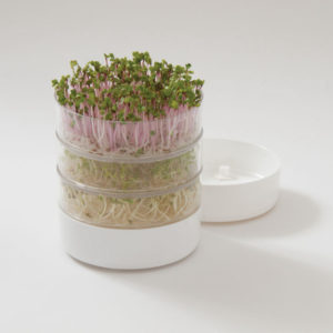 microgreening germinator photo