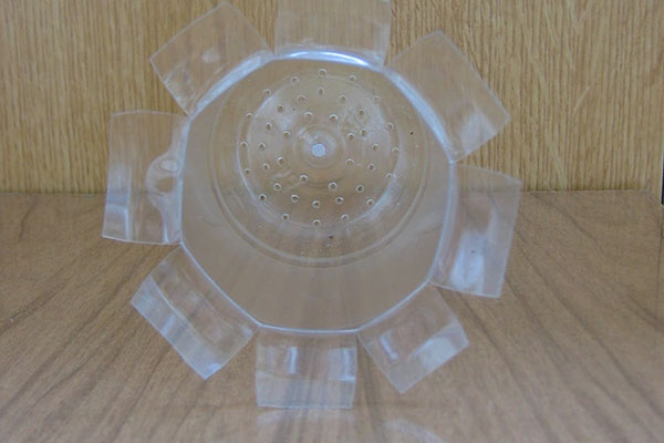 sprouter sprouter photo