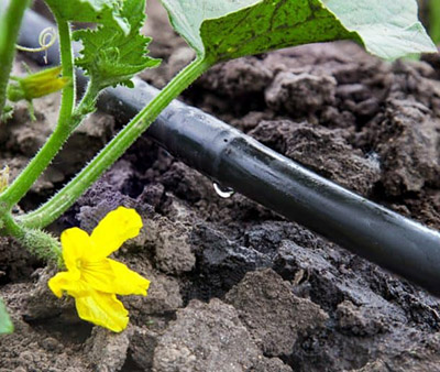 How to measure hose wall thickness