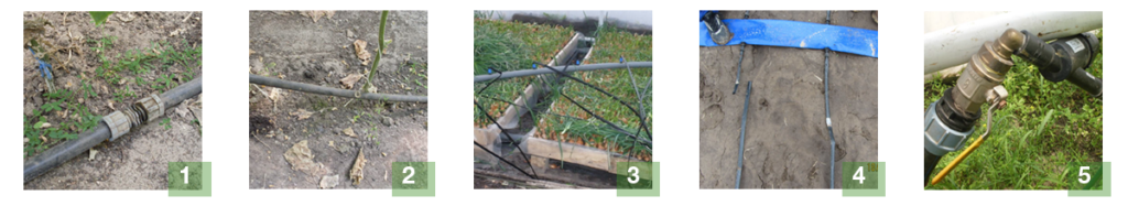 Key points to know before installing drip irrigation