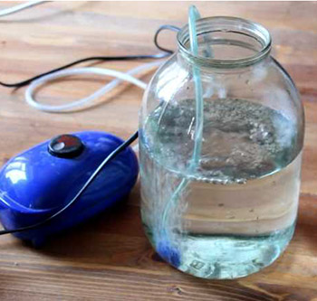 seed preparation for sowing