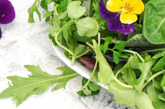 съедобные цветы