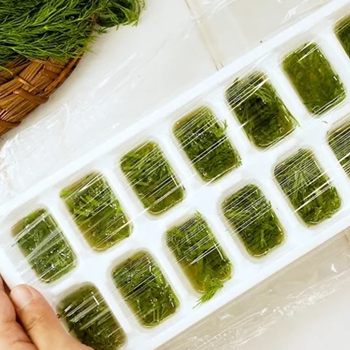 Freezing dill