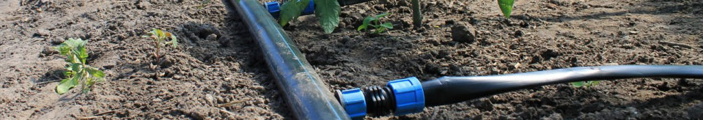 Basic rules for setting up drip irrigation
