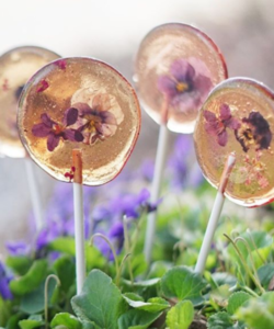 Pansy lollipops
