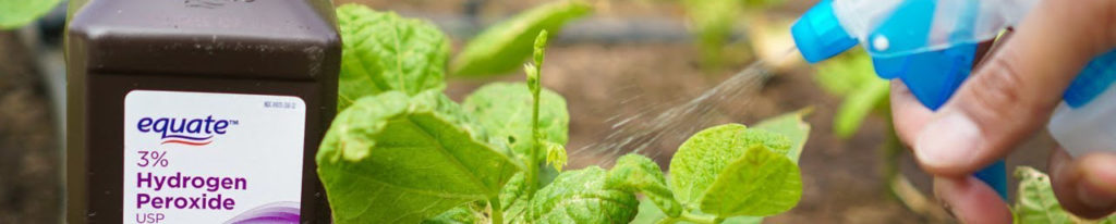 How to make a plant growth stimulator