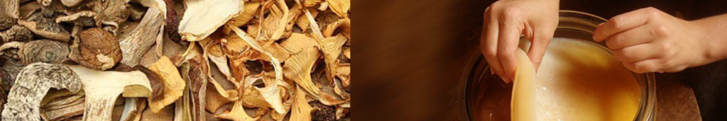 DIY plant growth stimulator from mushrooms