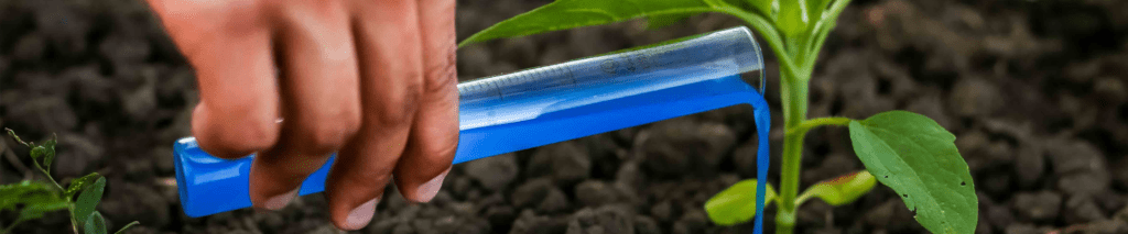 Seeds in soil with question about herbicide impact on germination