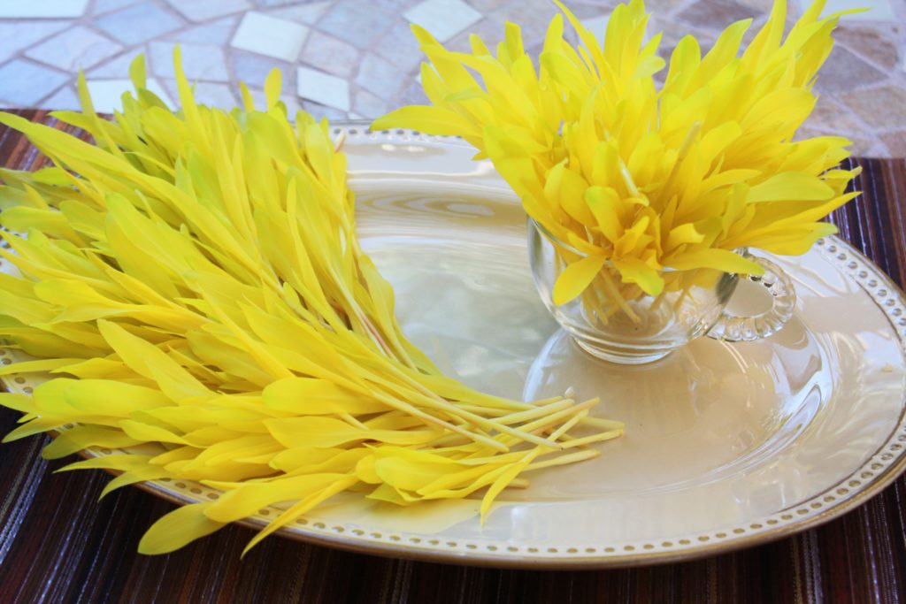 photo of yellow microgreens of corn popcorn