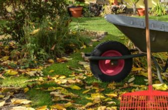 Tools and preparations for treating trees in autumn