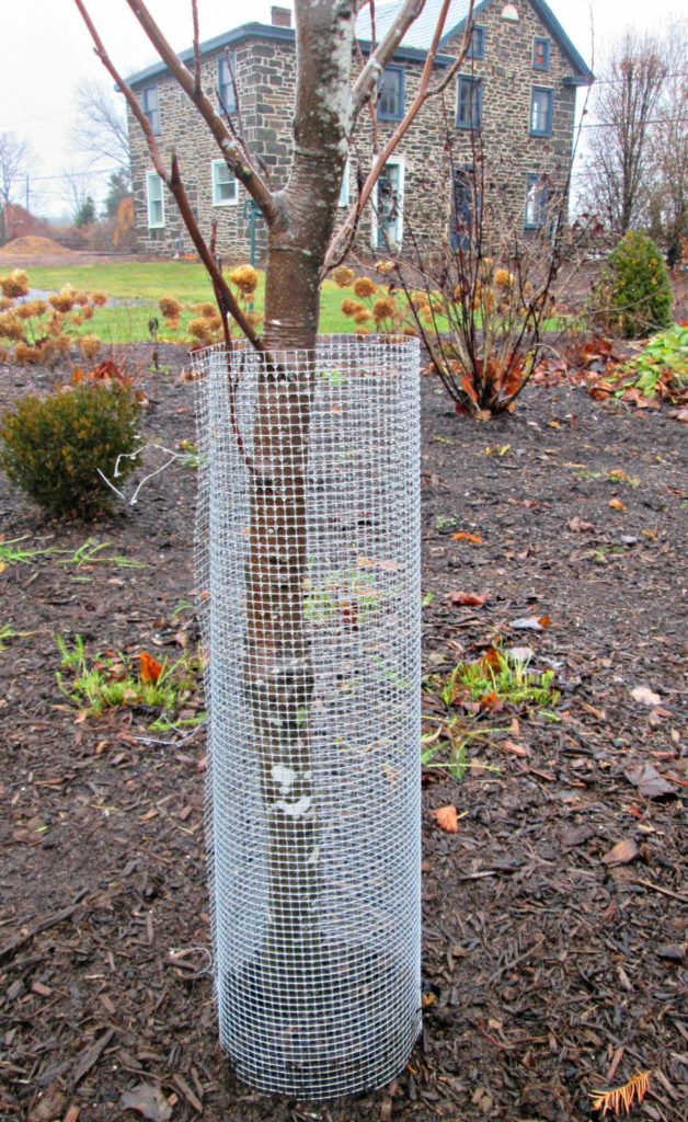 image of a rodent protection net