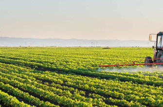 фото обработка поля