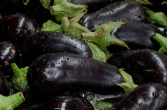 фото баклажаны