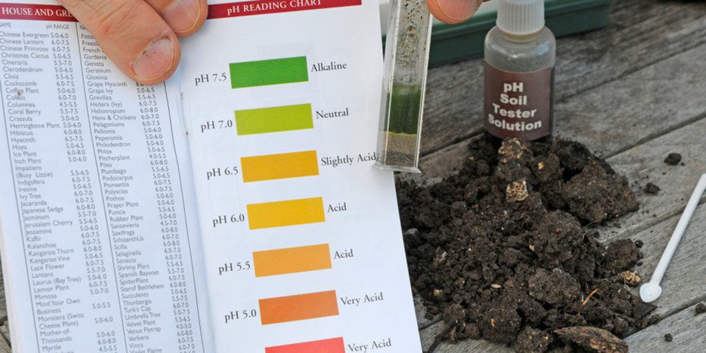 photo determination of soil pH