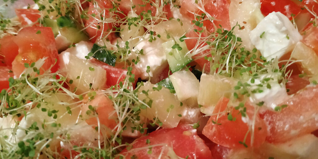 photo of arugula microgreens