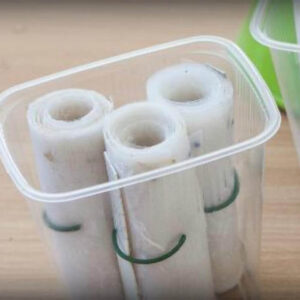 Seeds rolled in paper to monitor and check germination