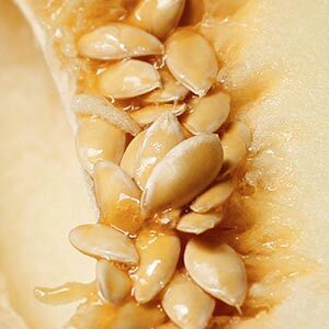 unpeeled melon seeds photo