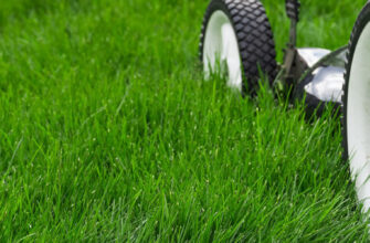 фото газон косилка