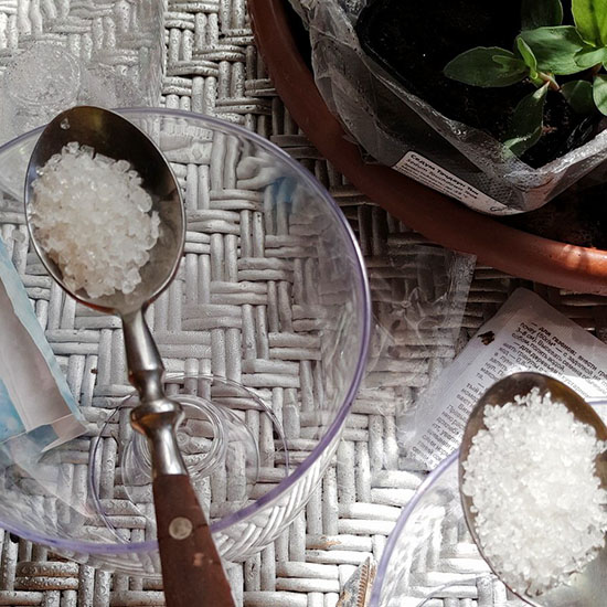 photo hydrogel for microgreens