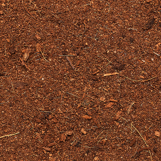 photo coconut substrate