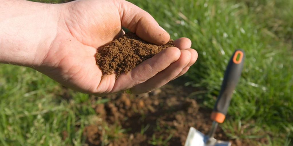 Photo of soil