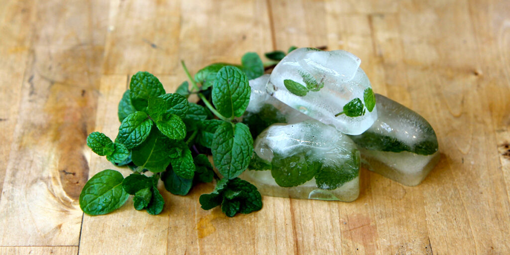 mint in ice cubes