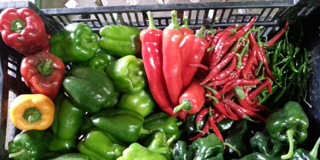 sweet peppers in crate, hot peppers in crate, mixed peppers, fresh peppers box, colorful peppers, harvest of peppers