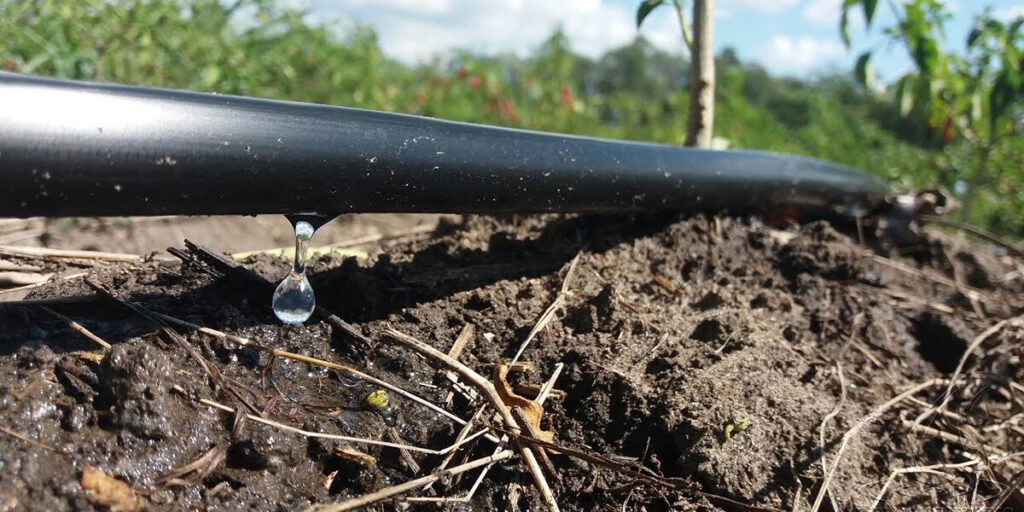 drip irrigation system, watering vegetables, watering fruit trees, efficient irrigation, drip watering for plants, vegetable garden irrigation