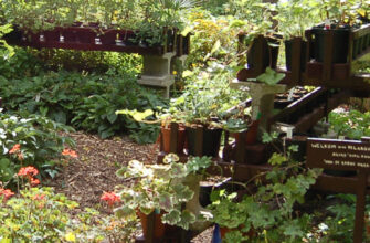 фото домашний сад