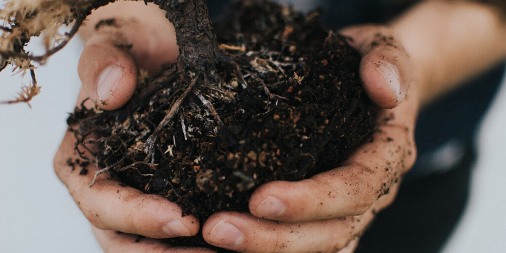 No-till farming to preserve soil microflora