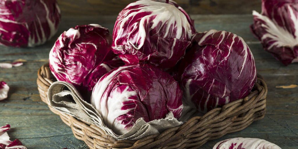radicchio salad photo