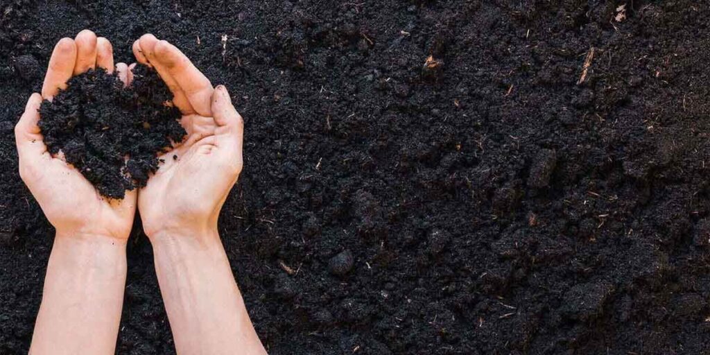 Compost pile with organic material