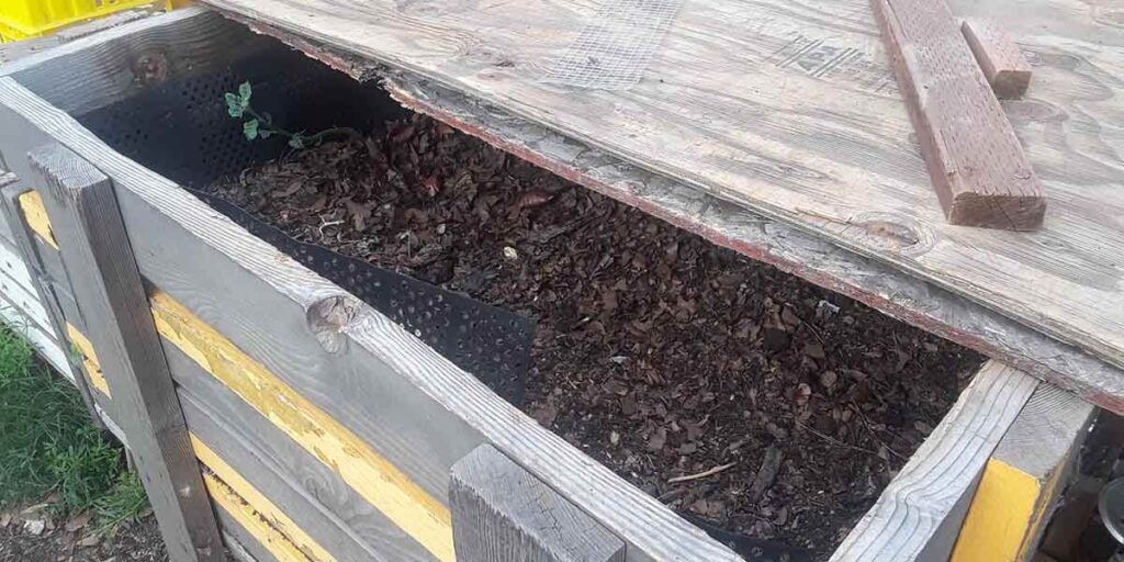 Worm composting box with earthworms