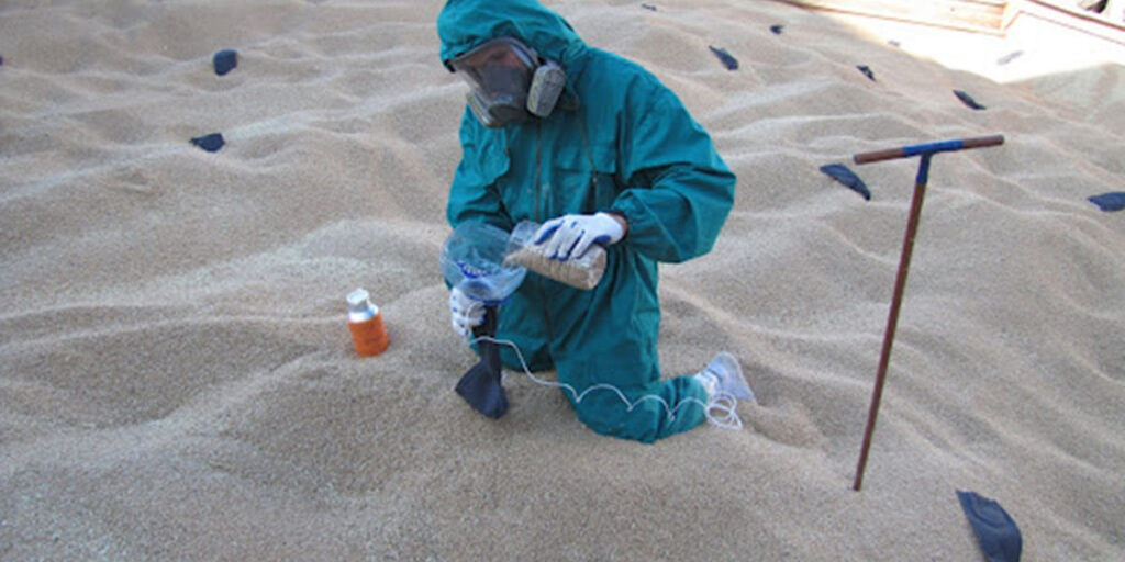 Grain fumigation in storage facility to prevent pests and preserve quality