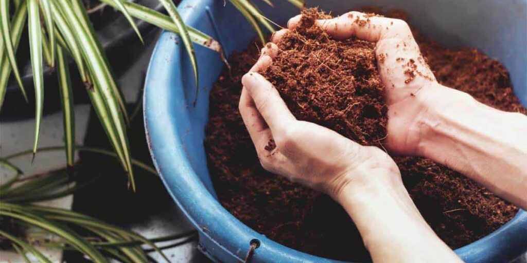 ready-to-use coconut substrate, coconut coir substrate, planting substrate, coconut fiber growing medium, horticultural substrate