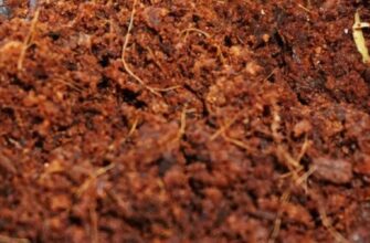 фото кокосовый субстрат