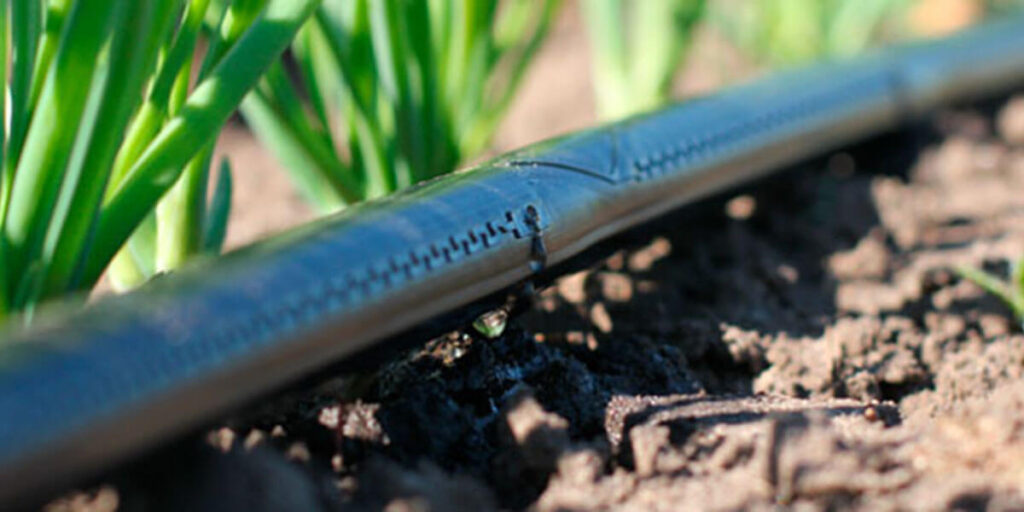 Close-up of labyrinth drip irrigation tape