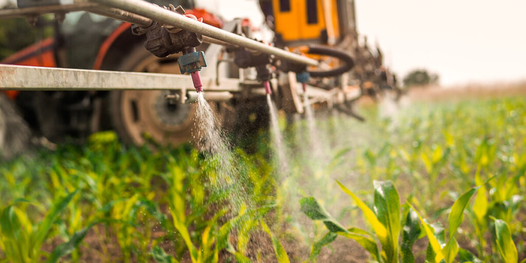 Tractor spraying crops in a green field to protect plants