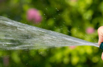 фото шланг для полива