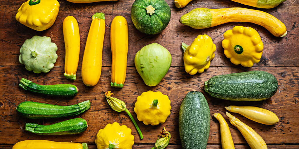 different types of zucchini