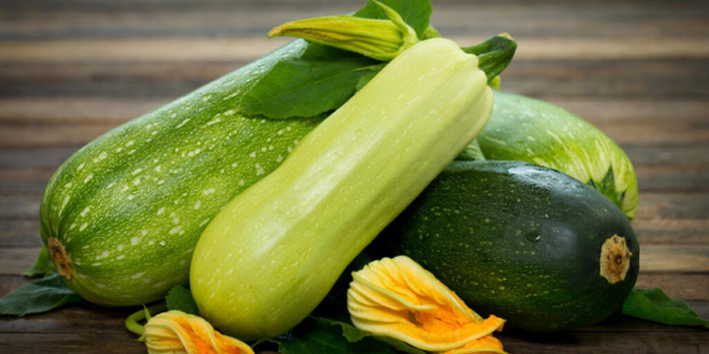 zucchini and squash health benefits