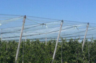 защитная сетка