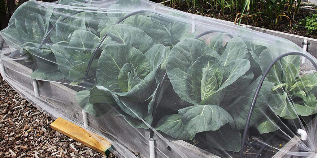 Protective net against insects