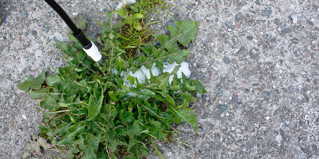 Spraying herbicides on crops