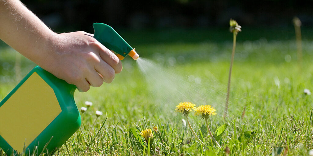 Spraying herbicides in the field