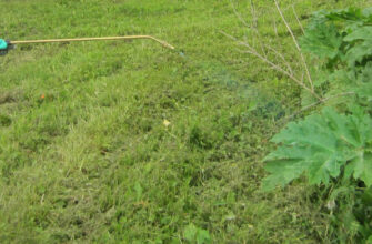 фото опрыскивание гербицидами