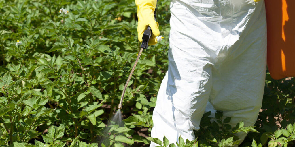 Spraying herbicides on a potato field