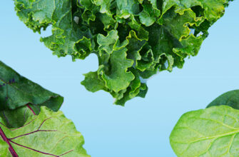 фото зелень